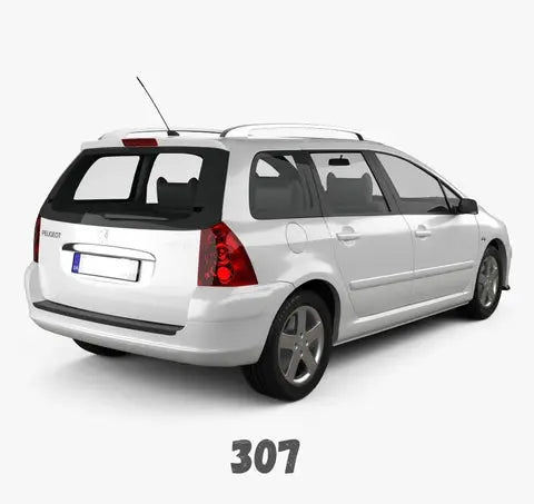 Peugeot-307-Carplay Mnd Garage 