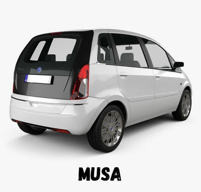 Fiat Musa Carplay