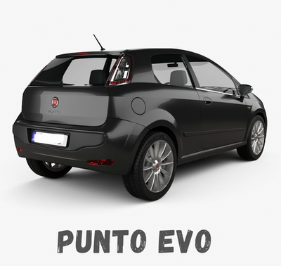 Fiat Punto Evo Carplay