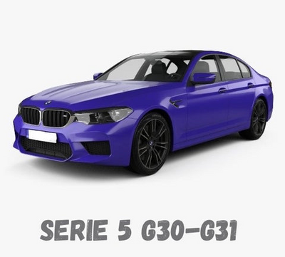 BMW Serie 5 G30-G31 Carplay